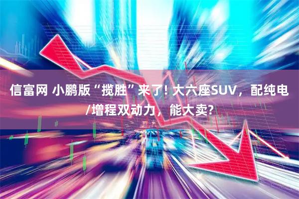 信富网 小鹏版“揽胜”来了! 大六座SUV,配纯电/增程双动力,能大卖?